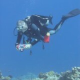 Divemaster